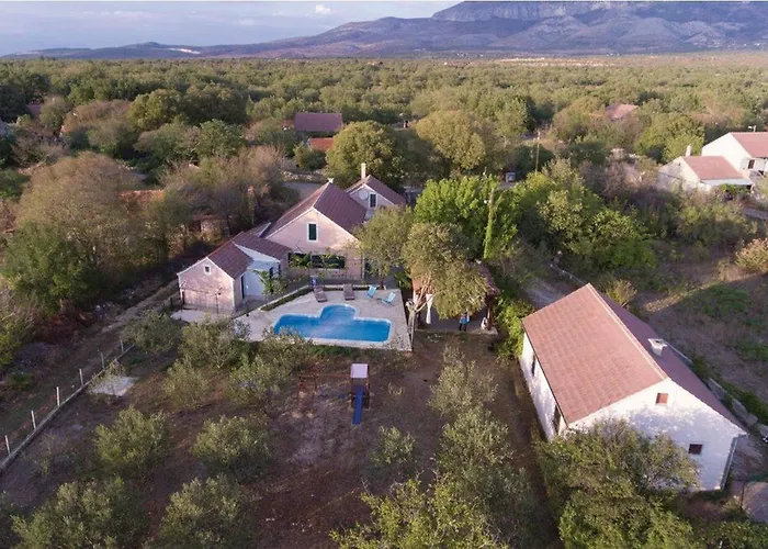 House Back To Nature