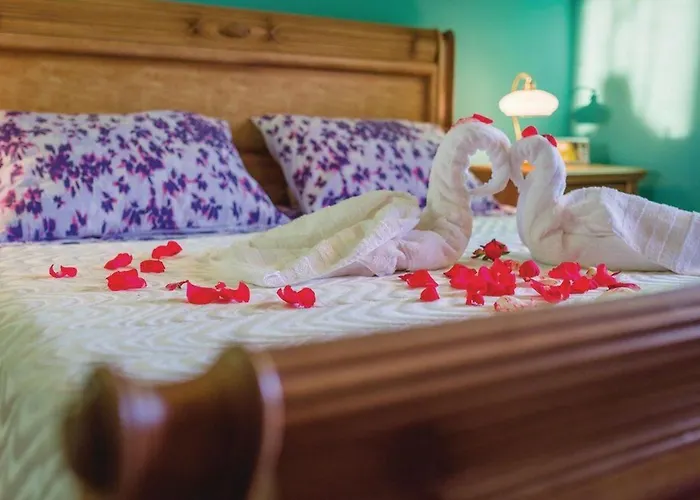 Ferienhaus House Back To Nature